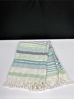 Now Designs Set of 2 Cotton Woven Tea Towels 31x17 Fringed Teal Green Chevron